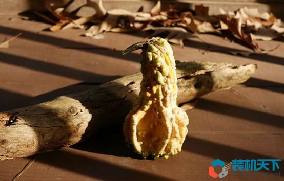 RAW和JPEG的優缺點是什么？（RAW和JPEG有什么區別？）