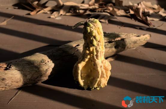 RAW和JPEG的優缺點是什么？（RAW和JPEG有什么區別？）