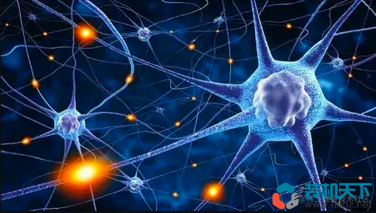 NPU是什么？NPU、CPU 、GPU的區別